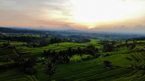 Bhuana Agung Villa and Restaurant